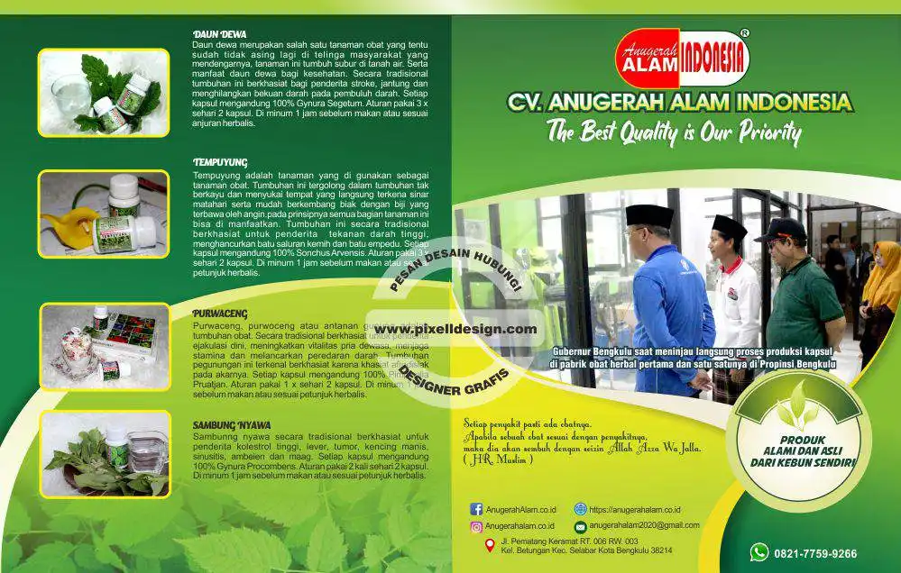 iklan produk kesehatan obat herbal 